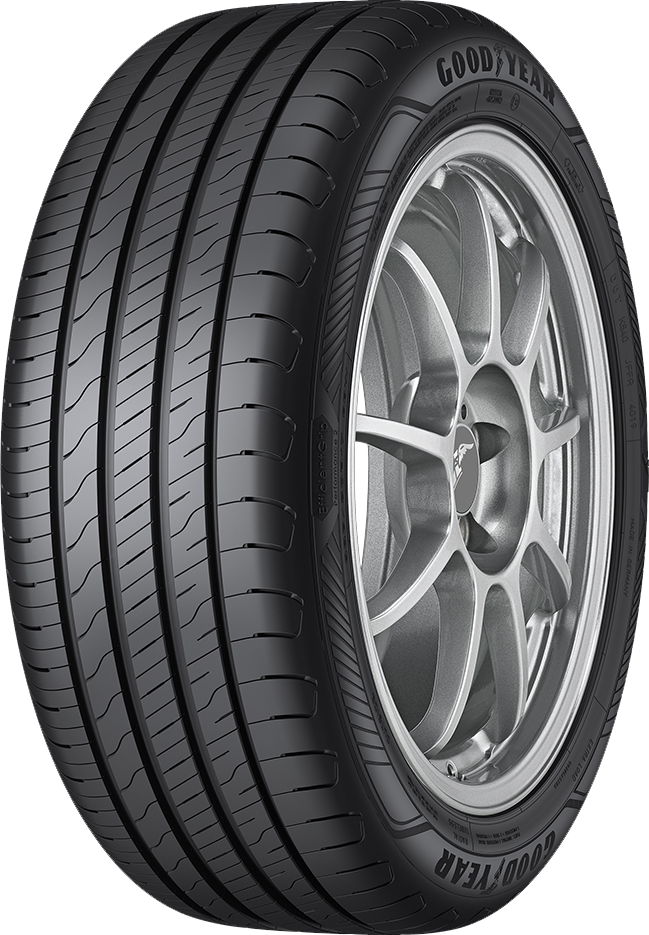 205/55 R16 91H EFFICIENTGRIP PERFORMANCE 2