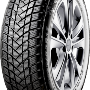 175/70R13 82T WINTERPRO2 (EVO)* MS TL GT Radial