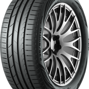 205/55R17 95W FE2 EVO XL LJETNA GT RADIAL